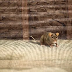 Garden Craft 36" X 5' Galvanized Hardware Cloth Fence, 1/8" Square -Stihl Supplies Store 19000022 4