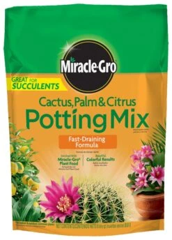 Miracle-Gro Cactus, Palm & Citrus Potting Mix - 8 Qt
