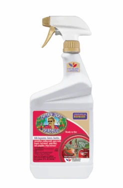 Captain Jack's Deadbug Brew 32oz