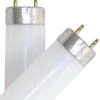Sylvania Fluorescent Light Bulb, 2-Pack -Stihl Supplies Store 51zbuus9vol. ac sl1024