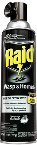 Raid Wasp & Hornet Killer 17.5oz