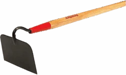 RazorBack 6" Nursery Beet Hoe