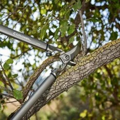 Corona 31" ClassicCUT Bypass Lopper -Stihl Supplies Store 73550016 7