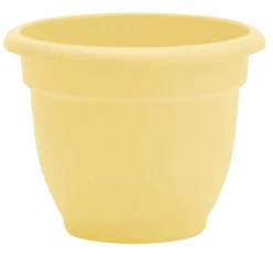 Bloem Ariana 12" Planter