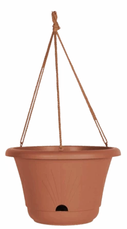 Bloem Lucca 13" Hanging Basket