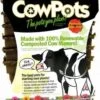 CowPots Renewable Composted Cow Manure Plantable Pots 3" Square, 12 Pack -Stihl Supplies Store cowpots