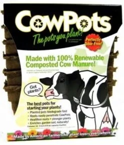 CowPots Renewable Composted Cow Manure Plantable Pots 3" Square, 12 Pack