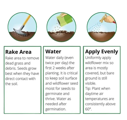 Earth Science Wildflower Mix - Pollinator 5 Earth Science Wildflower Mix - Pollinator - Image 3