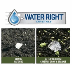 Earth Science Wildflower Mix - Pollinator 10 Earth Science Wildflower Mix - Pollinator -Stihl Supplies Store earth science1 removebg preview 2