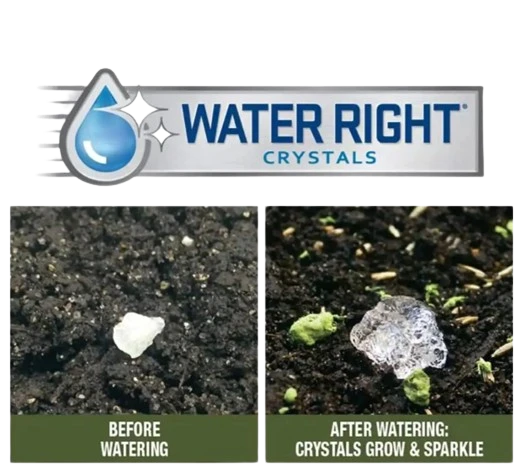 Earth Science Wildflower Mix - Pollinator 6 Earth Science Wildflower Mix - Pollinator - Image 4