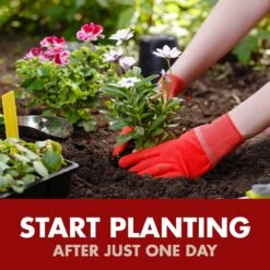 Spectracide Weed & Grass Killer2 (Ready-to-Use), 1 Gal. 14 Spectracide Weed & Grass Killer2 (Ready-to-Use), 1 Gal. -Stihl Supplies Store hg96428 09 startplanting