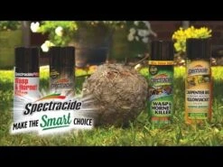 Spectracide Wasp & Hornet Insect Killer, 18.5 Oz. (2-Pack) -Stihl Supplies Store hqdefault 170
