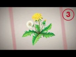 Spectracide Weed & Grass Killer2 (Ready-to-Use), 1 Gal. 19 Spectracide Weed & Grass Killer2 (Ready-to-Use), 1 Gal. -Stihl Supplies Store hqdefault 61 4