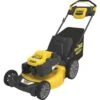 DeWalt RWD 21" 196cc Self-Propelled Gas Mower With E-GOV -Stihl Supplies Store itemimage 735186 7g6kxmhrc77v6g4b6js4pjb5