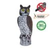Dalen 18" Owl With Rotating Head -Stihl Supplies Store rho 4 rotating head owl new 2048x 1