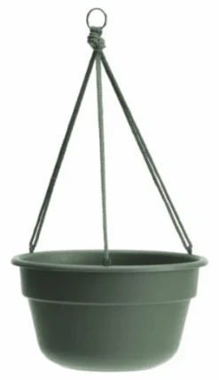 Bloem 12 Inch Dura Cotta Hanging Basket, Basil